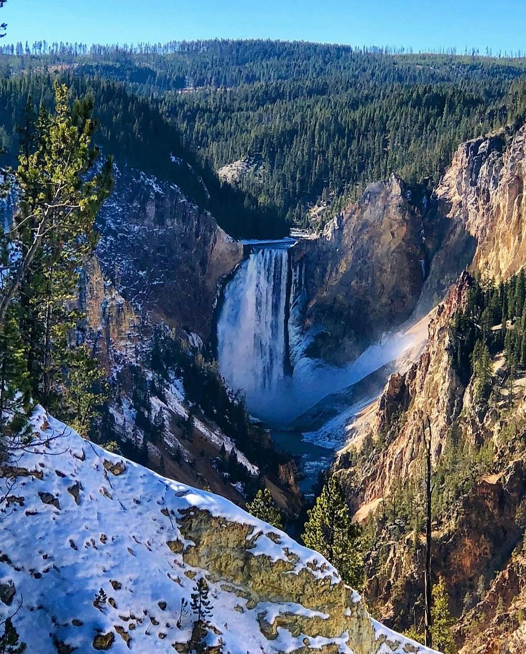 @parkwayinnjh sharing some of Yellowstone’s majestic beauty!! Have you visite...