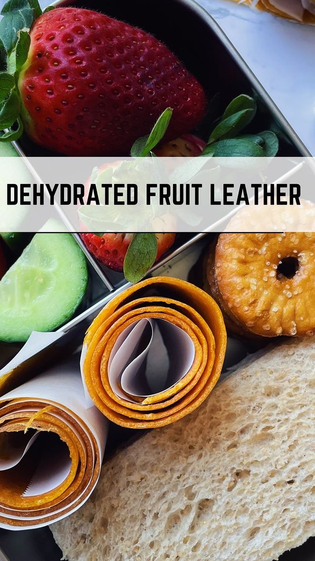 Dehydrator Cookbook: An Essential Guide to Dehydrating and Preserving  Fruits, Vegetables, Meats, and Seafood. Include Making Jerky, Leather  (Paperback)