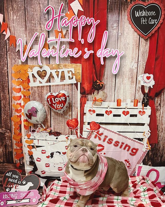 Valentine’s Day is almost upon is! Make sure to stop by to get your cute kiss...