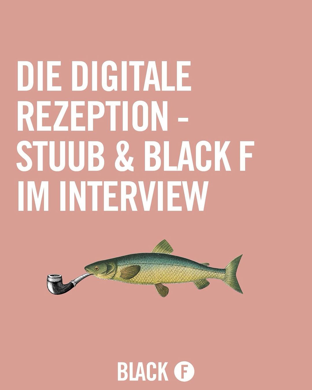 Die digitale Rezeption - @_stuub_ und BlackF im Interview 🙌🏼   Vielen Dank ...