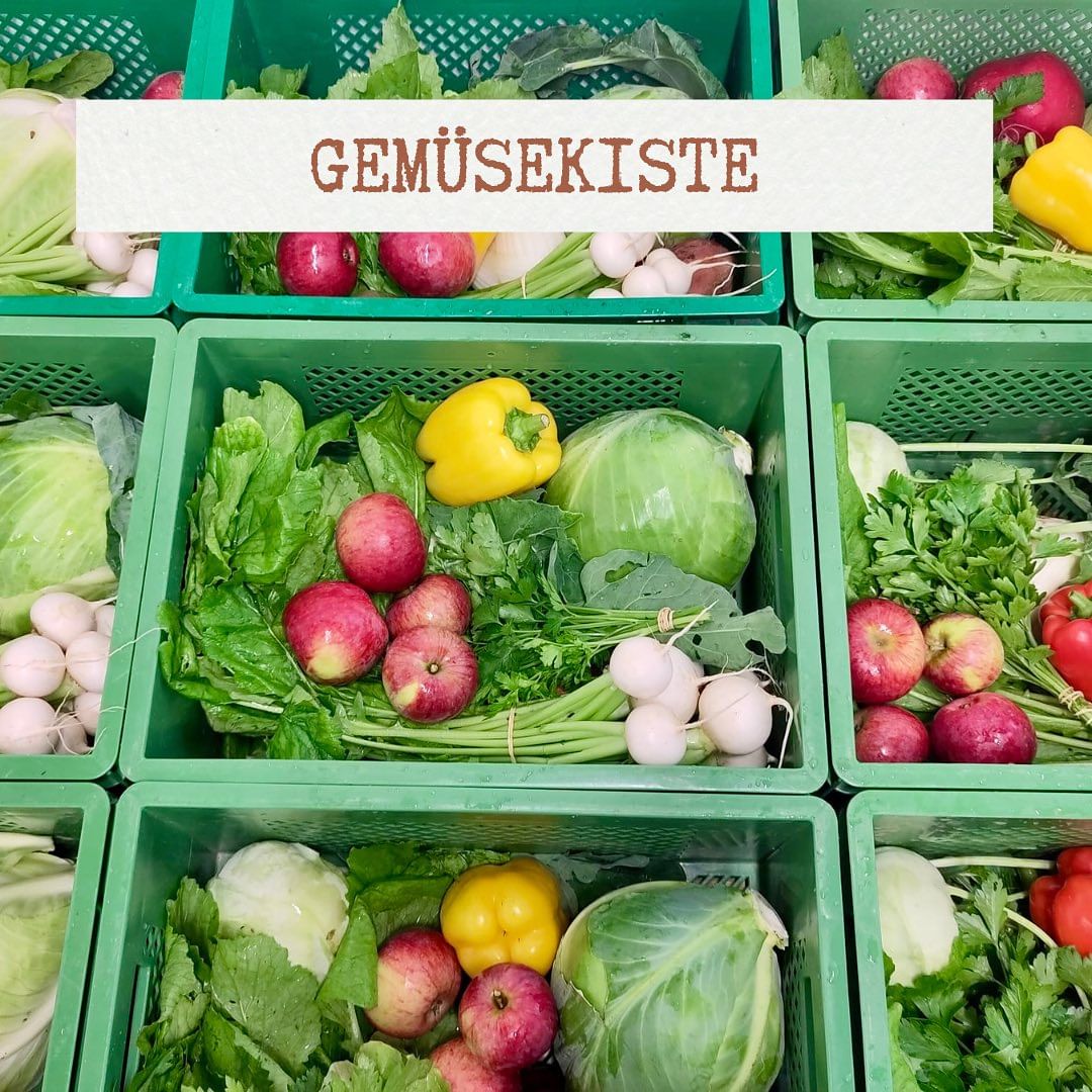 🌱 Gemüsekiste 2024 🌱  Lust auf frisches buntes Gemüse jede Woche direkt aus...
