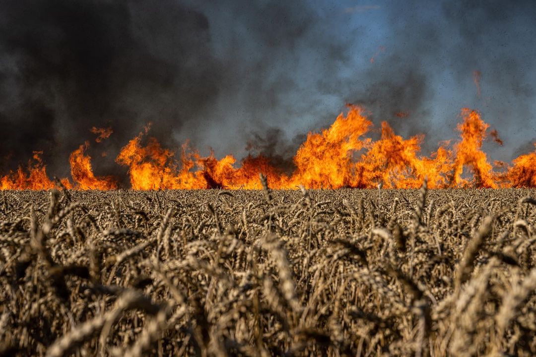 Ukraine is ablaze.

This is what the Ukrainian front line and the border with...