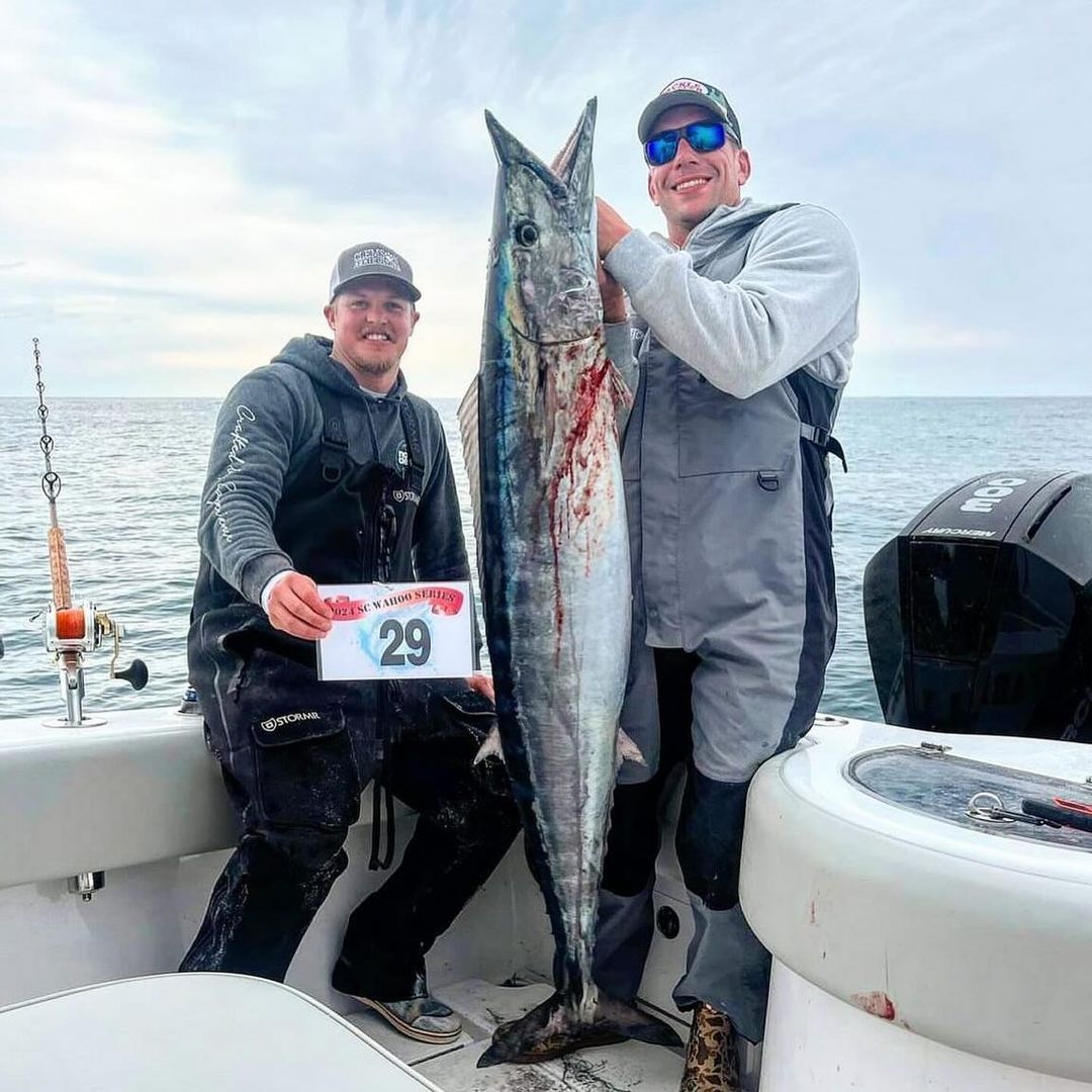 Big Game Lures for Marlin + Tuna