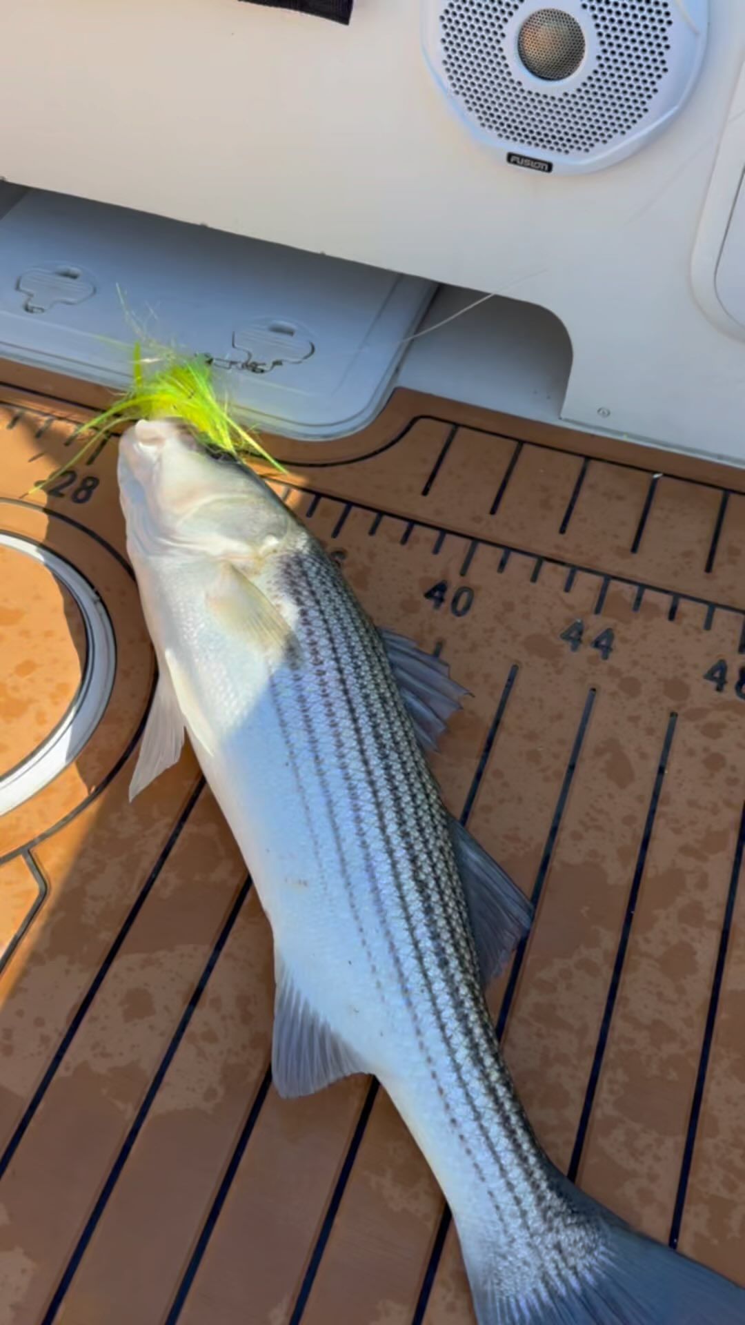 Magictail Casting Mojo 4 - Tyalure Tackle