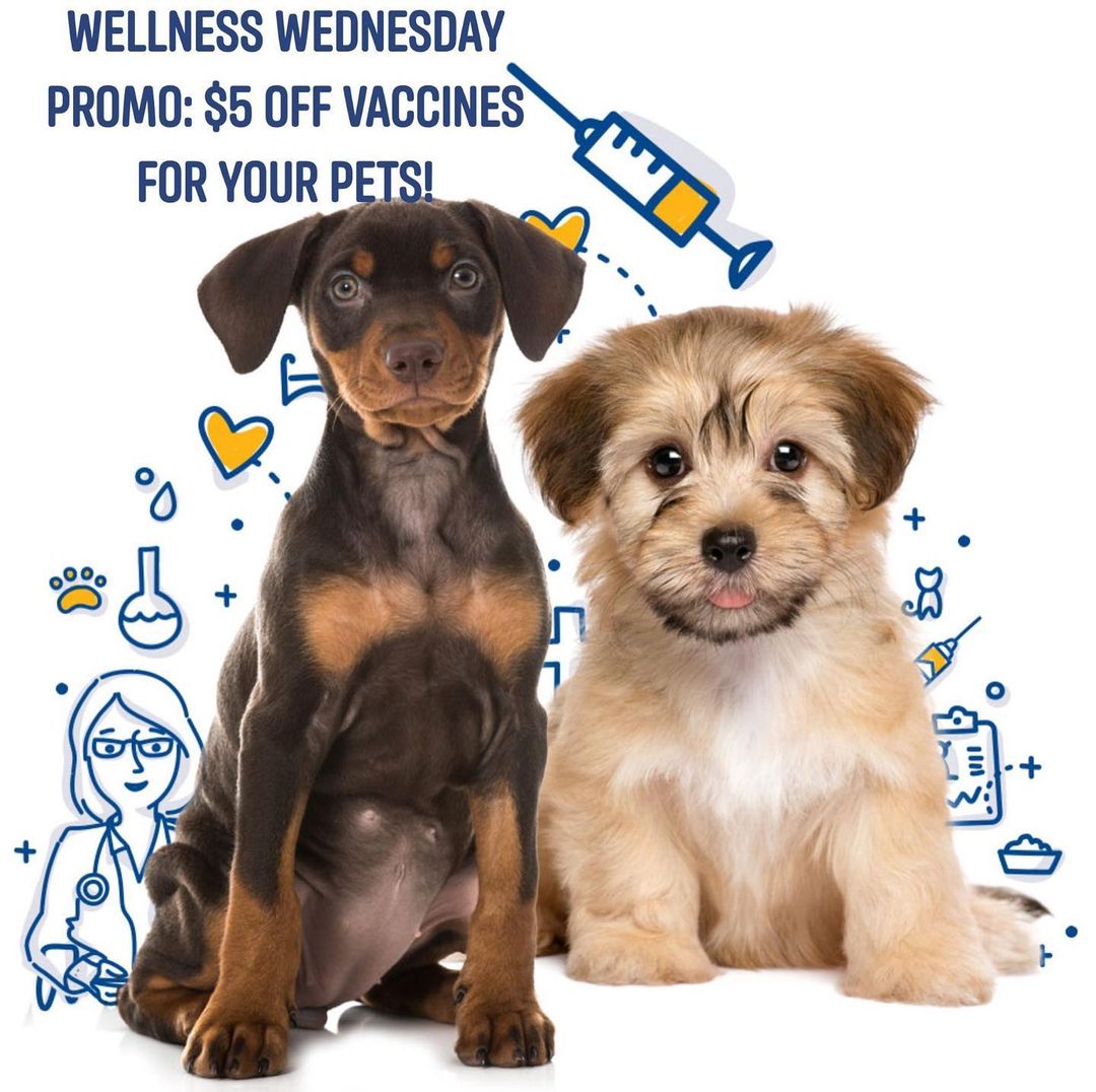 Cedar Plaza Vet clinic is offering $5 off each vaccines for your pets for app...