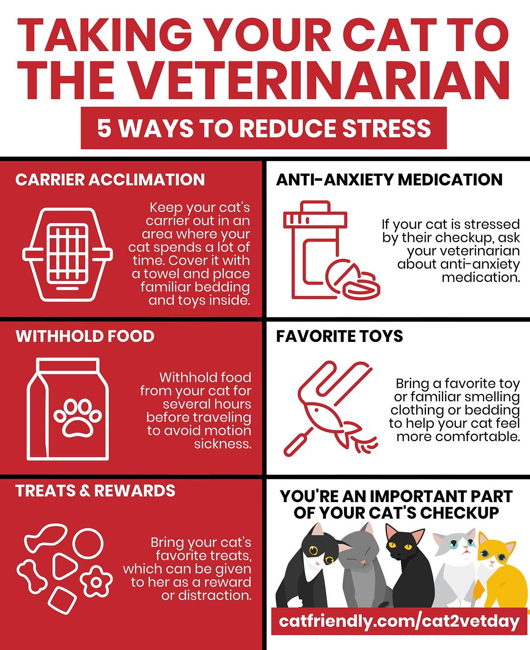 58% of cat owners report their cat hates going to the vet. Here are 5 easy wa...
