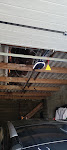 Luc B. review image 2 of 3