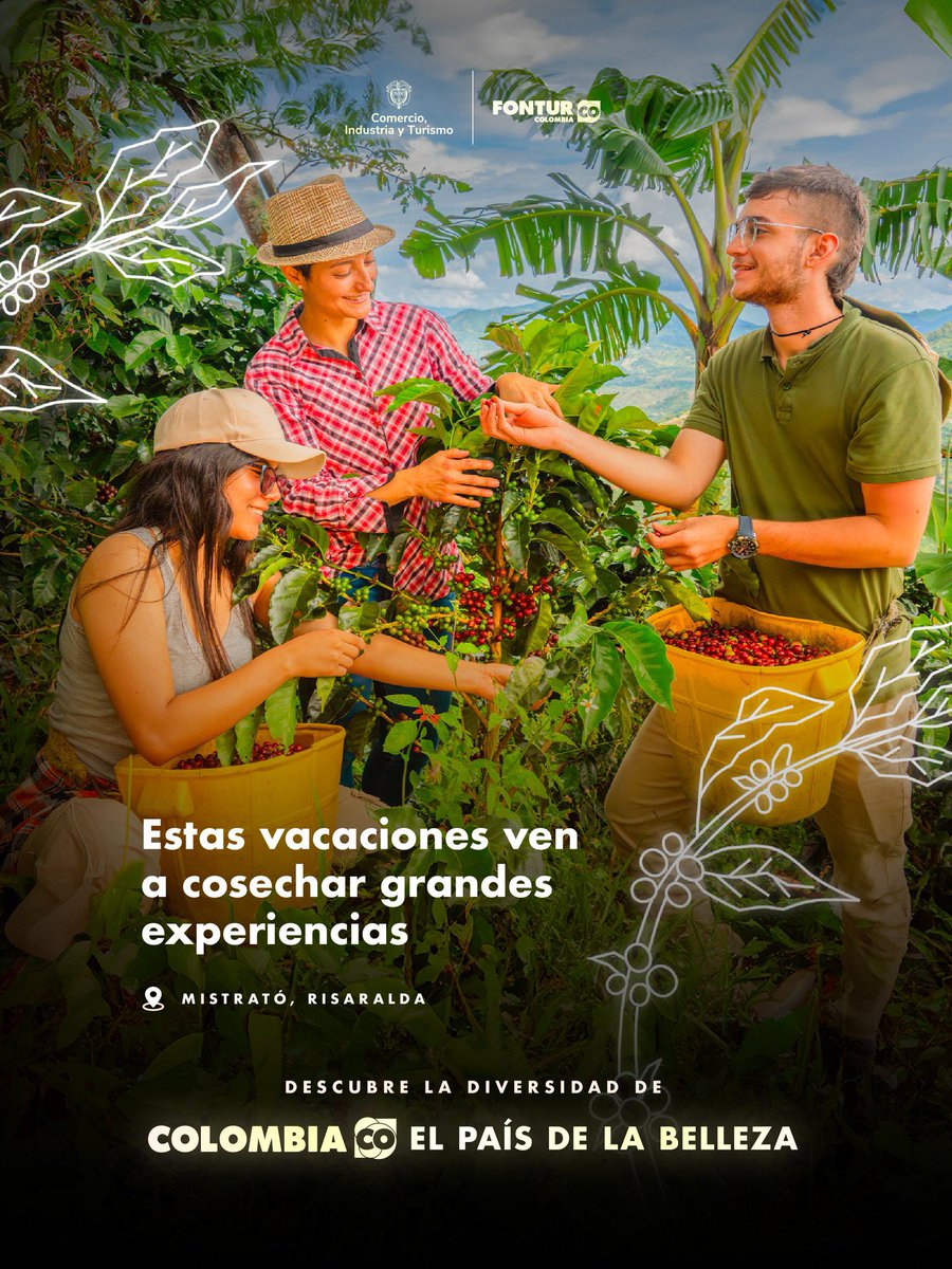 ☕ En Mistrató, estas vacaciones te esperan con una taza del mejor café tipo exportación. Vive...