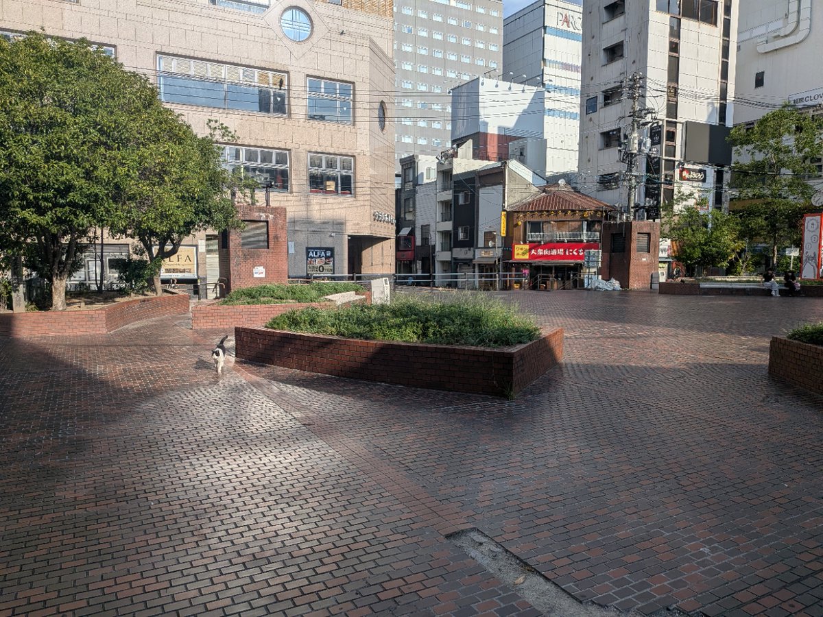 新天地 公園