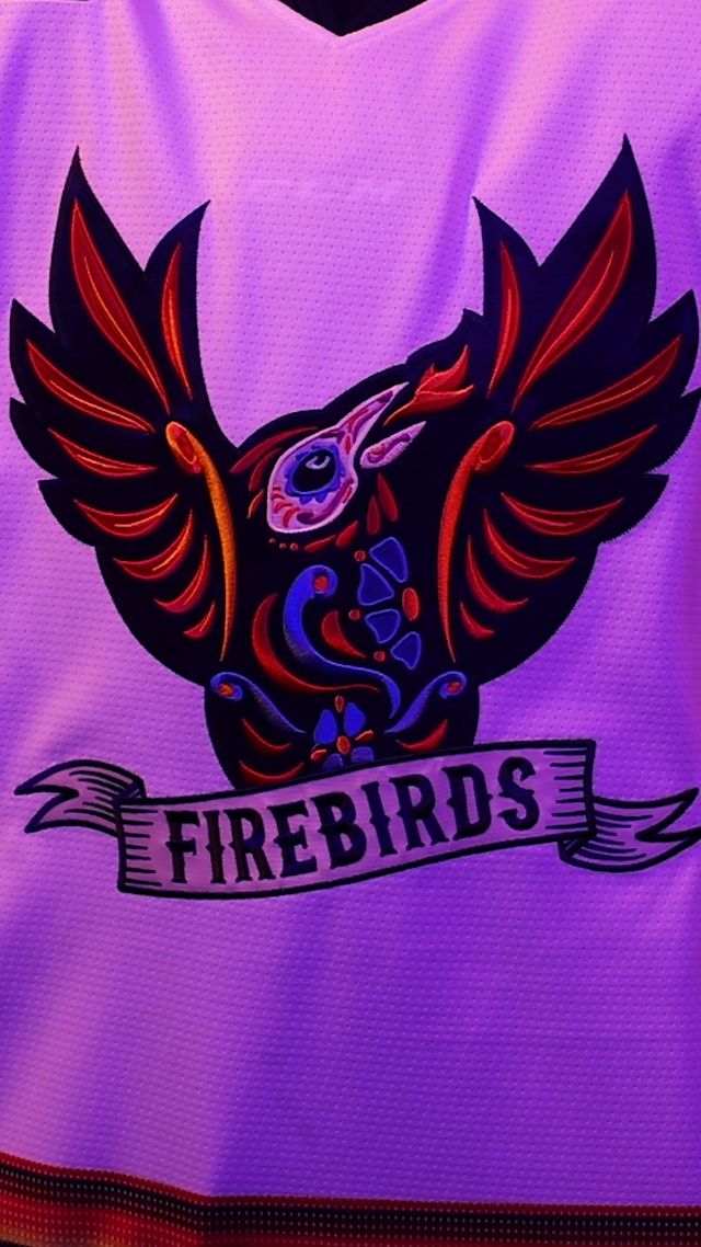 Springfield Thunderbirds unveil jersey designs, new mascot at T-Birds Town  Hall (photos/video) 