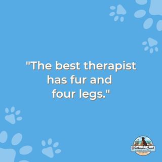 At Westhampton Beach Animal Hospital, we believe that furry friends make the ...