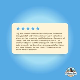 Thank you, Sharon and Jay, for sharing your heartfelt review of Westhampton B...
