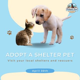 🐾 Happy National Adopt a Shelter Pet Day from Westhampton Beach Animal Hospi...