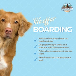 🐾 Planning your next vacation or trip and need a trusted place for your furr...