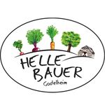 helle_bauer