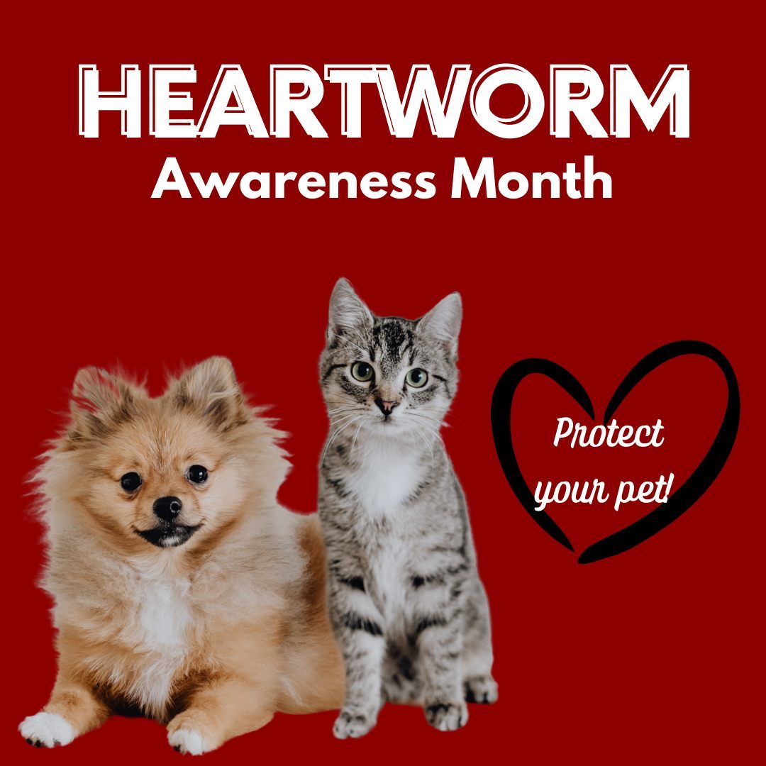 Did you know that April is Heartworm Awareness Month? Protect your pet from h...