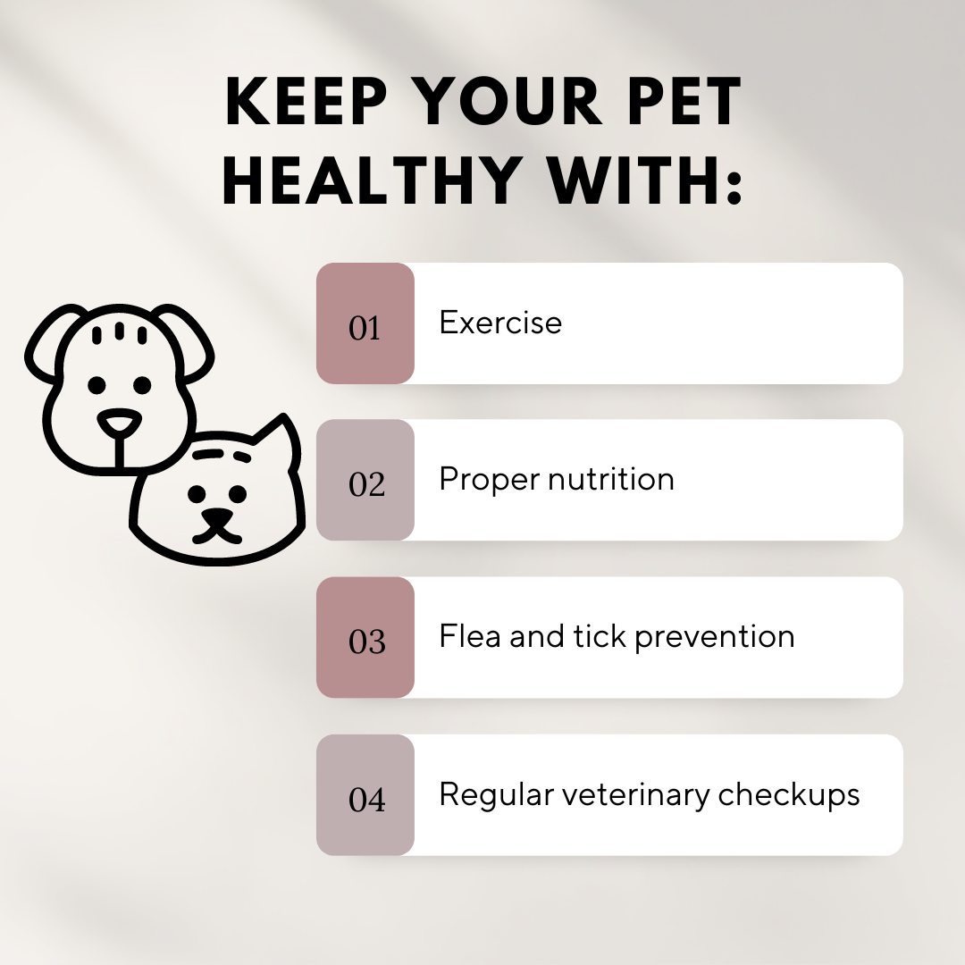 As a responsible pet owner, there are a few measures you must take to ensure ...