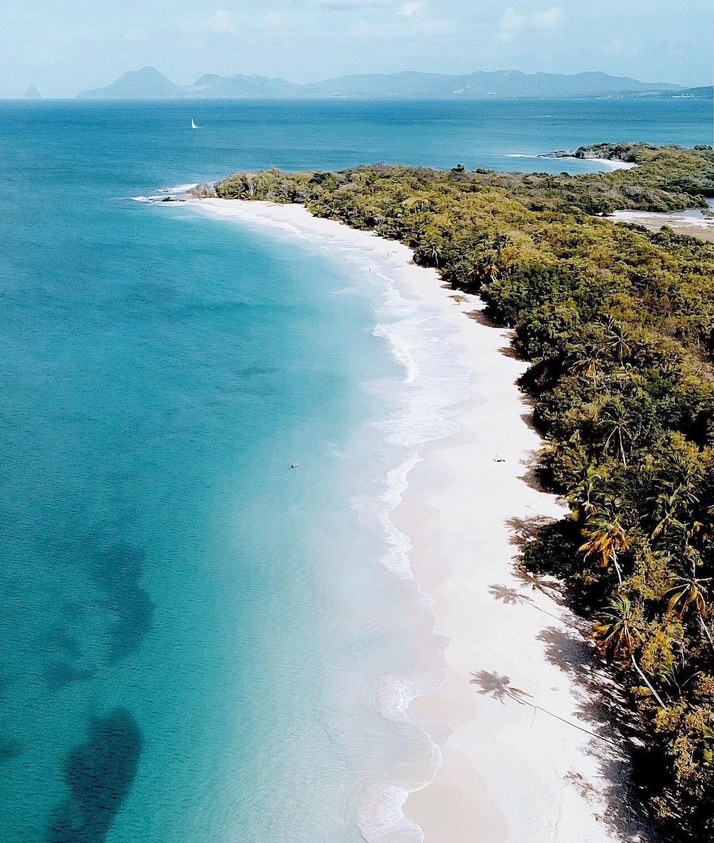🇫🇷 Les plages immaculées et les eaux turquoises de la Martinique offrent un...