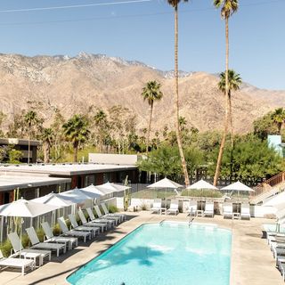 Skylark Hotel™ A Boutique Hotel In Palm Springs Downtown California