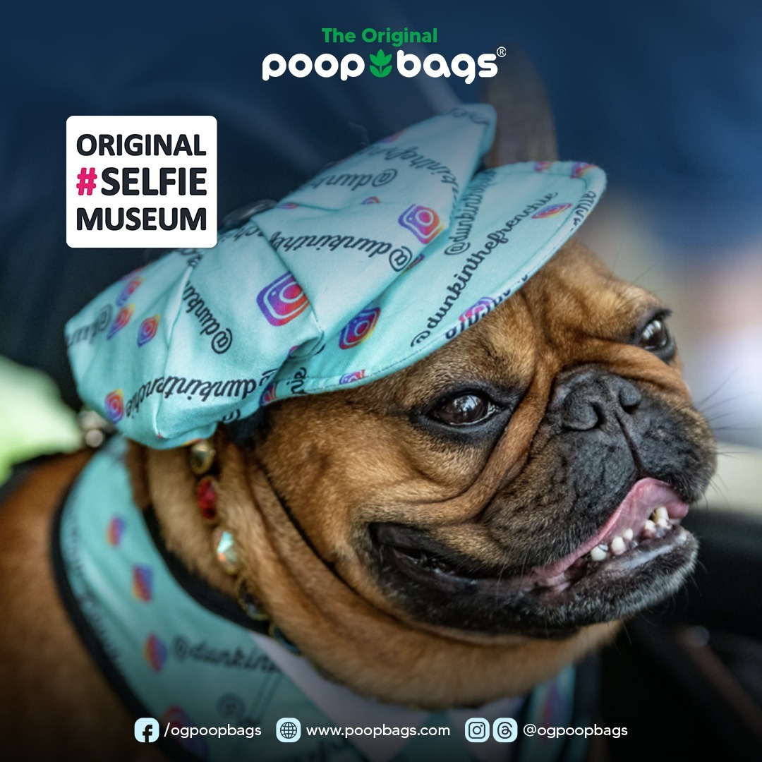 BAGAHOLICBOY SHOPS: 3 Designer Poo Bags For Your Dog - BAGAHOLICBOY