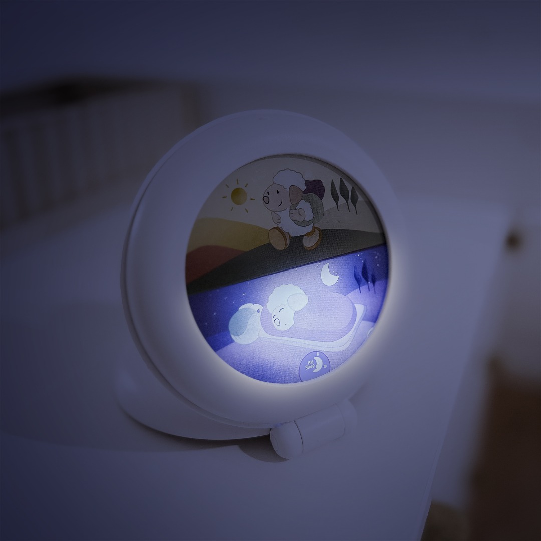Veilleuse Tortue musicale/lavable, rechargeable USB-C - Peluche projecteur  pour bébé/nourrisson (sommeil réparateur) - Projection d'images aquatiques  animées : poissons, vagues - Bruits blancs/apaisants, relaxants