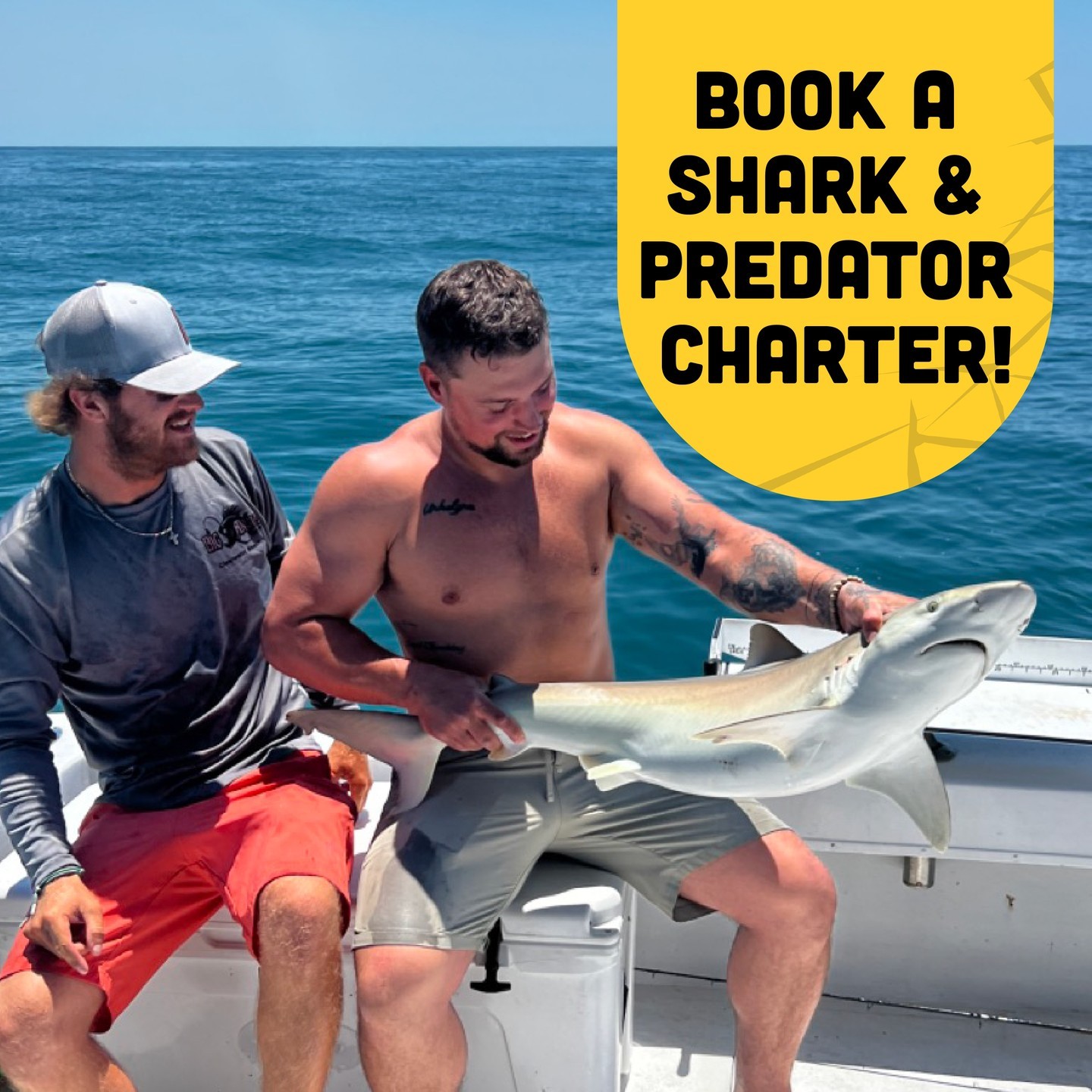 Shark bait - hoo ha ha! We LOVE the thrill of our Shark & Predator Charters, ...