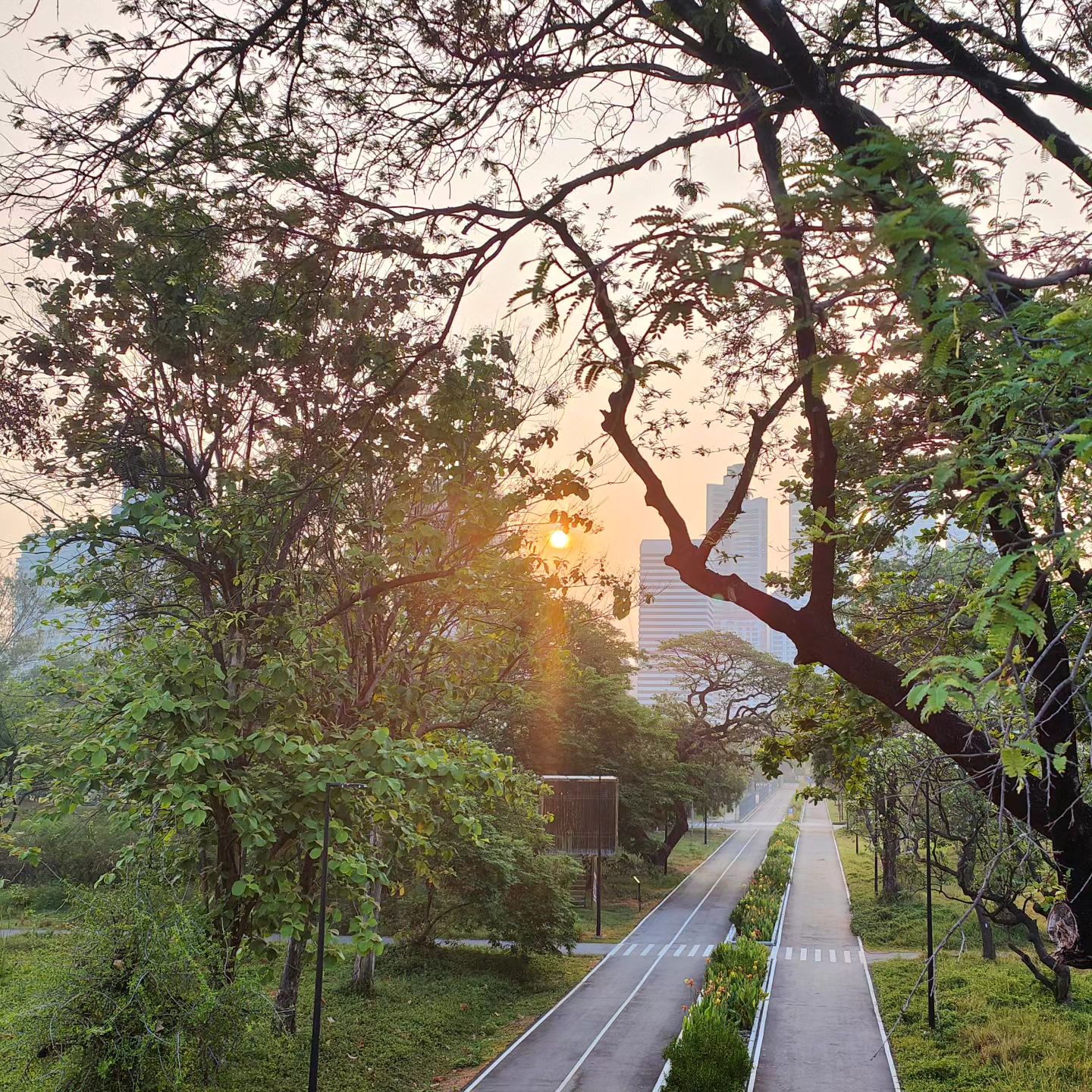 #benjakittipark mornings, are the best #mornings...