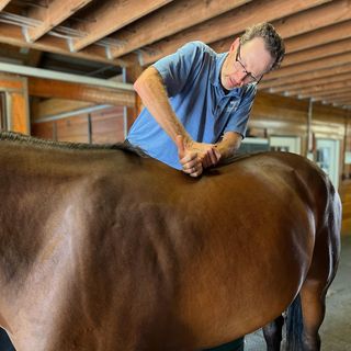 Dr. Sean Redman helping his patient feel their best for the week ahead! ✨🐴 ...
